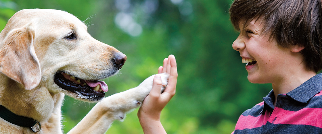 Image of a dog holding its paw up to the hand of a laughing kid