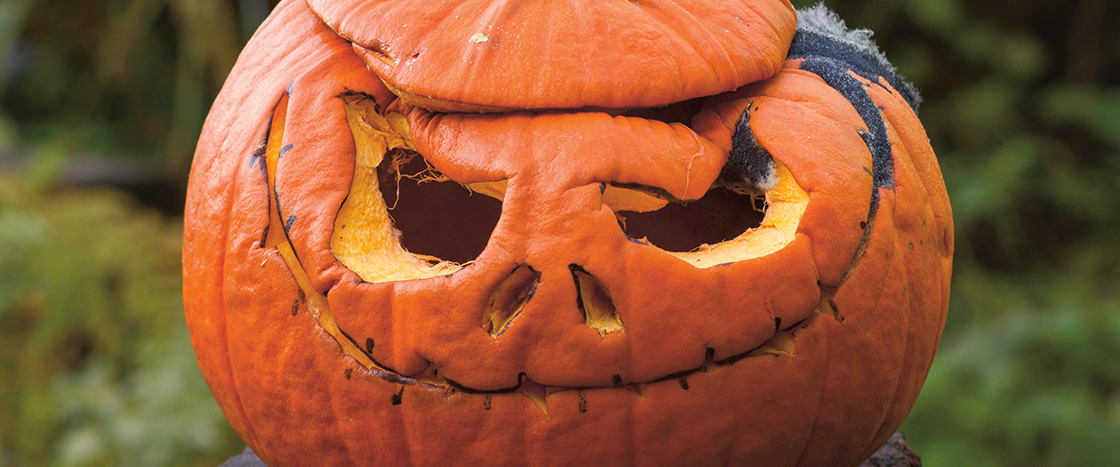 Image of a rotting Jack o&apos; lantern